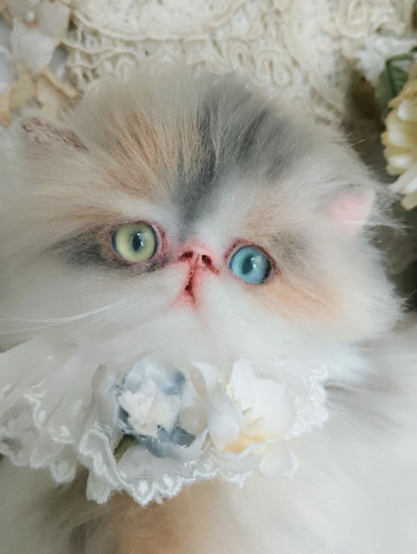 パステル三毛♡キャリコ子猫ちゃん♡オッドアイ♡アートドール♡ぬいぐるみ