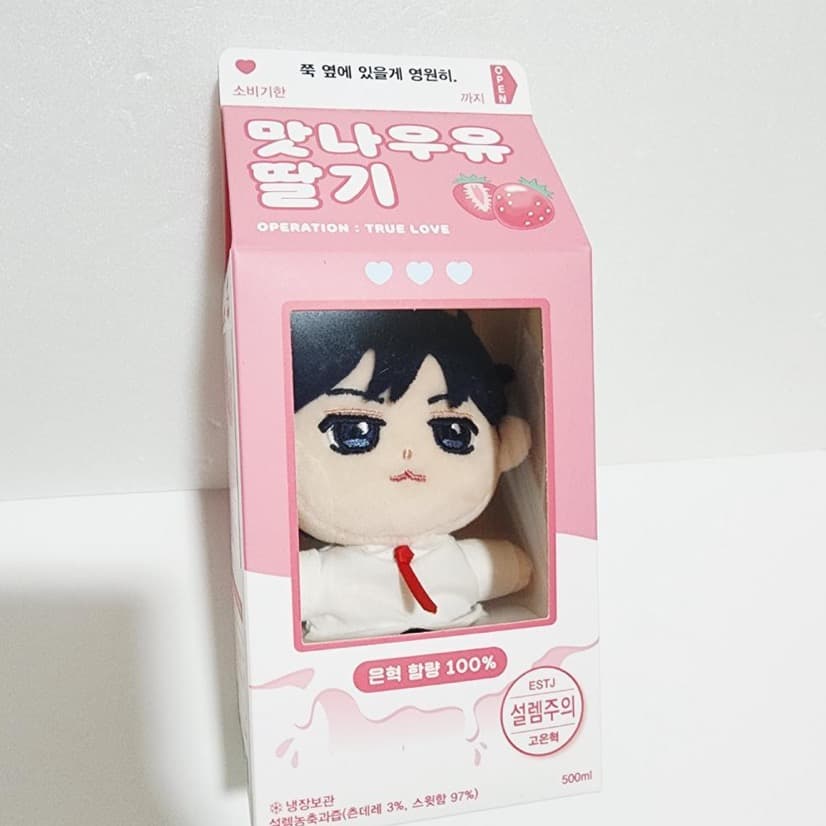 ★期間限定★ 作戦名は純情 コ・ウンヒョク ぬいぐるみ キーリング 2種セット