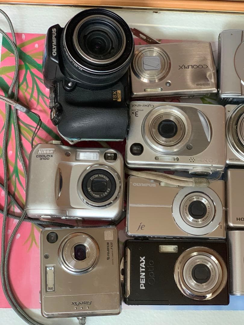 ニコン、オリンパス、リコー、ペンタックス、ファインピックスカメラ