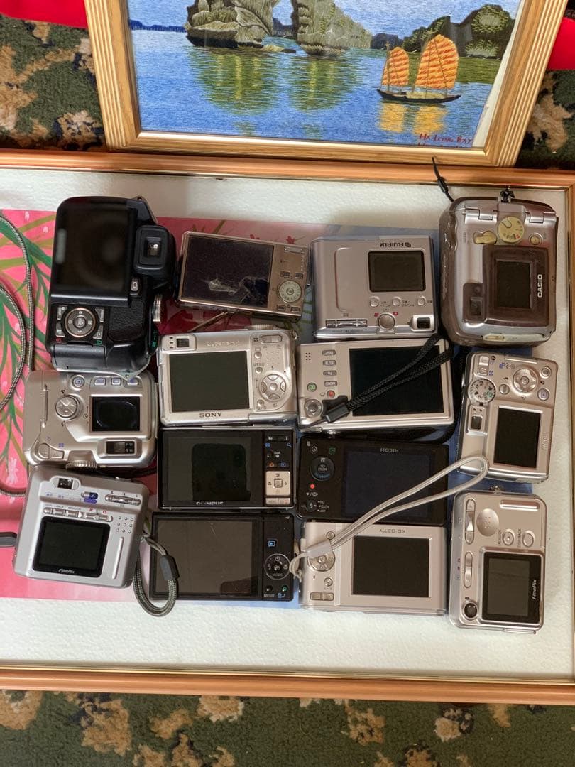 ニコン、オリンパス、リコー、ペンタックス、ファインピックスカメラ