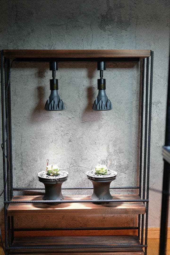 植物育成棚　ダクトレール付き アイアンシェルフ　男前インテリア 0226