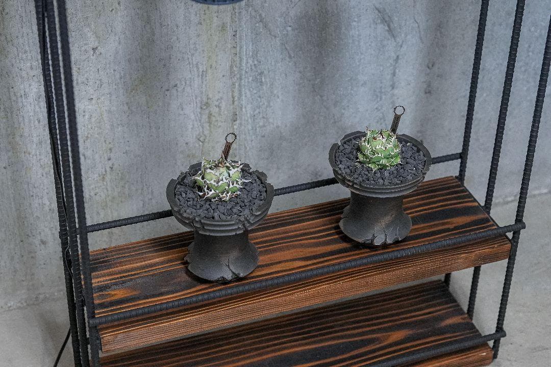植物育成棚　ダクトレール付き アイアンシェルフ　男前インテリア 0226