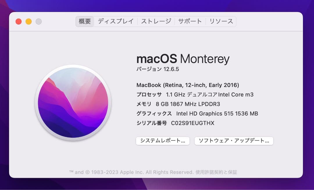 【美品】MacBook 12インチ 2016 シルバー 256GB