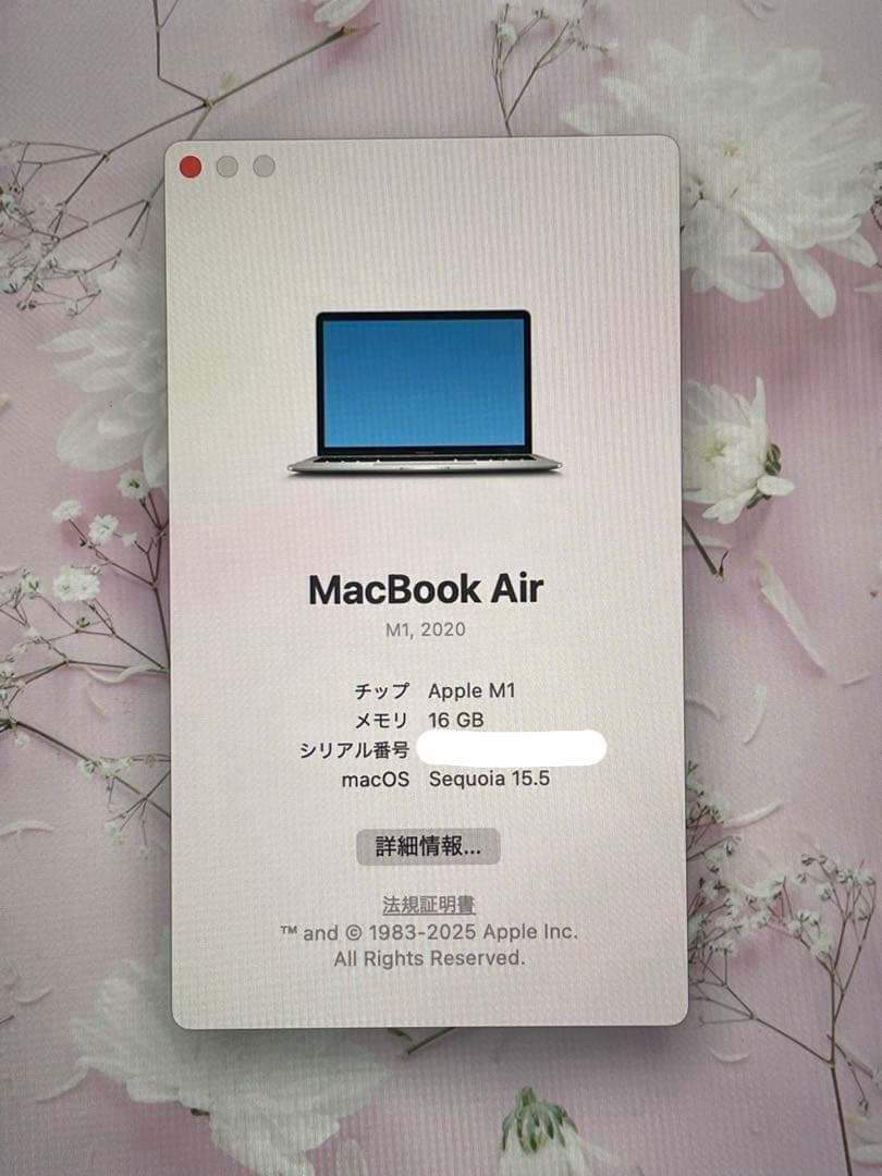 MacBook本体 Apple MacBook Air (M1, 2020)