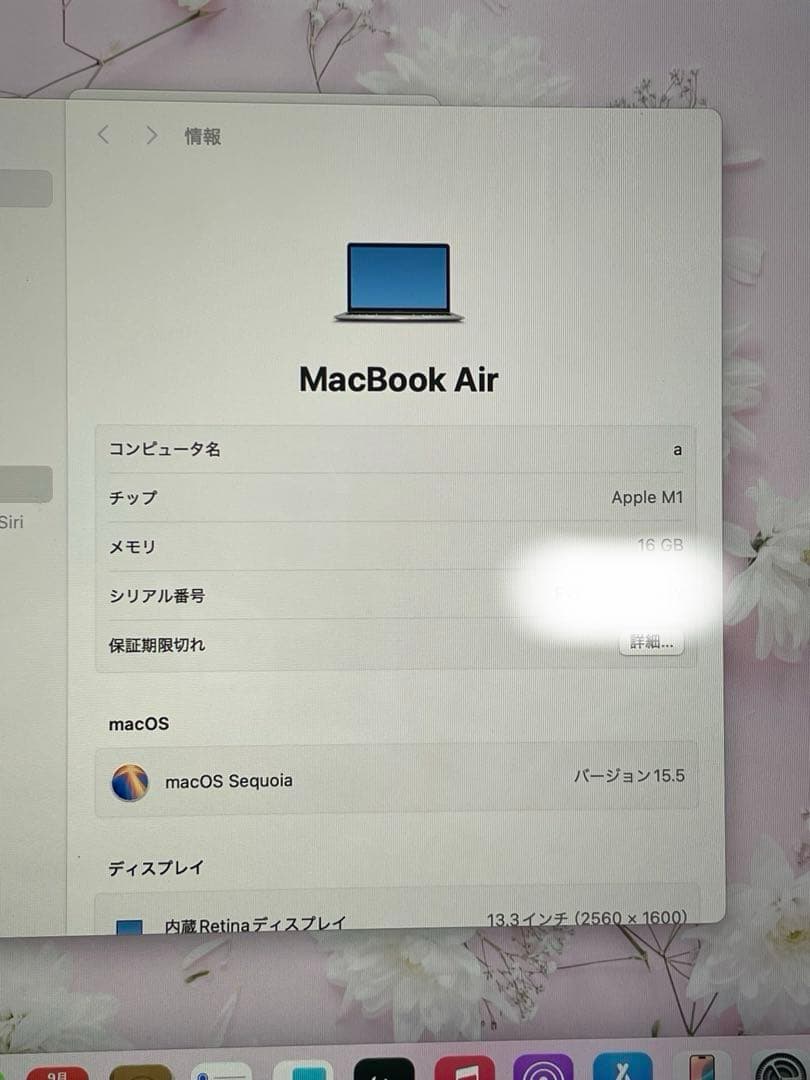 MacBook本体 Apple MacBook Air (M1, 2020)