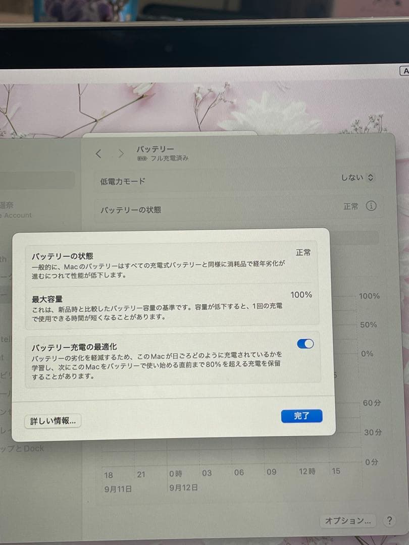 MacBook本体 Apple MacBook Air (M1, 2020)