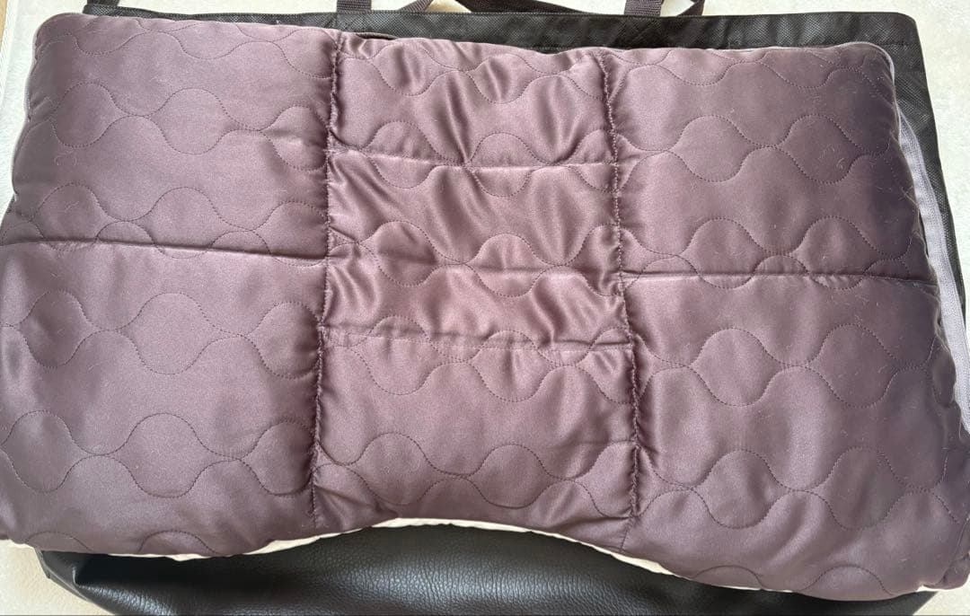 じぶんまくら　プレミアムロング【専用カバン付き】