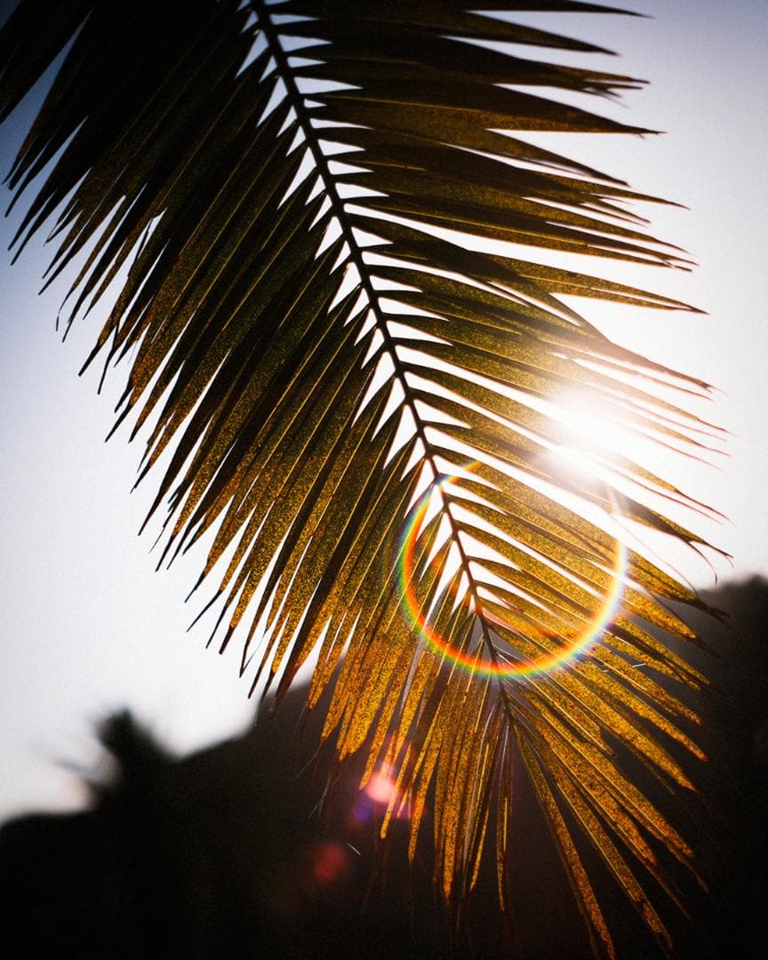 フレア等全て極上 後期型 Super-Takumar F1.8 55mm