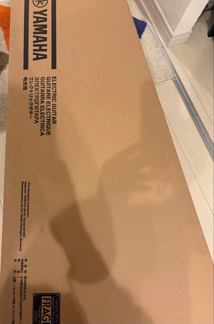 ぼっち・ざ・ろっく！YAMAHA PACIFICA611V BTR LTD