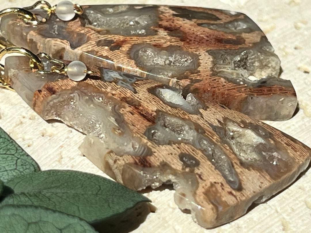 ＊14kgf フォッシルパームウッドwithドゥルージーポケット ピアス