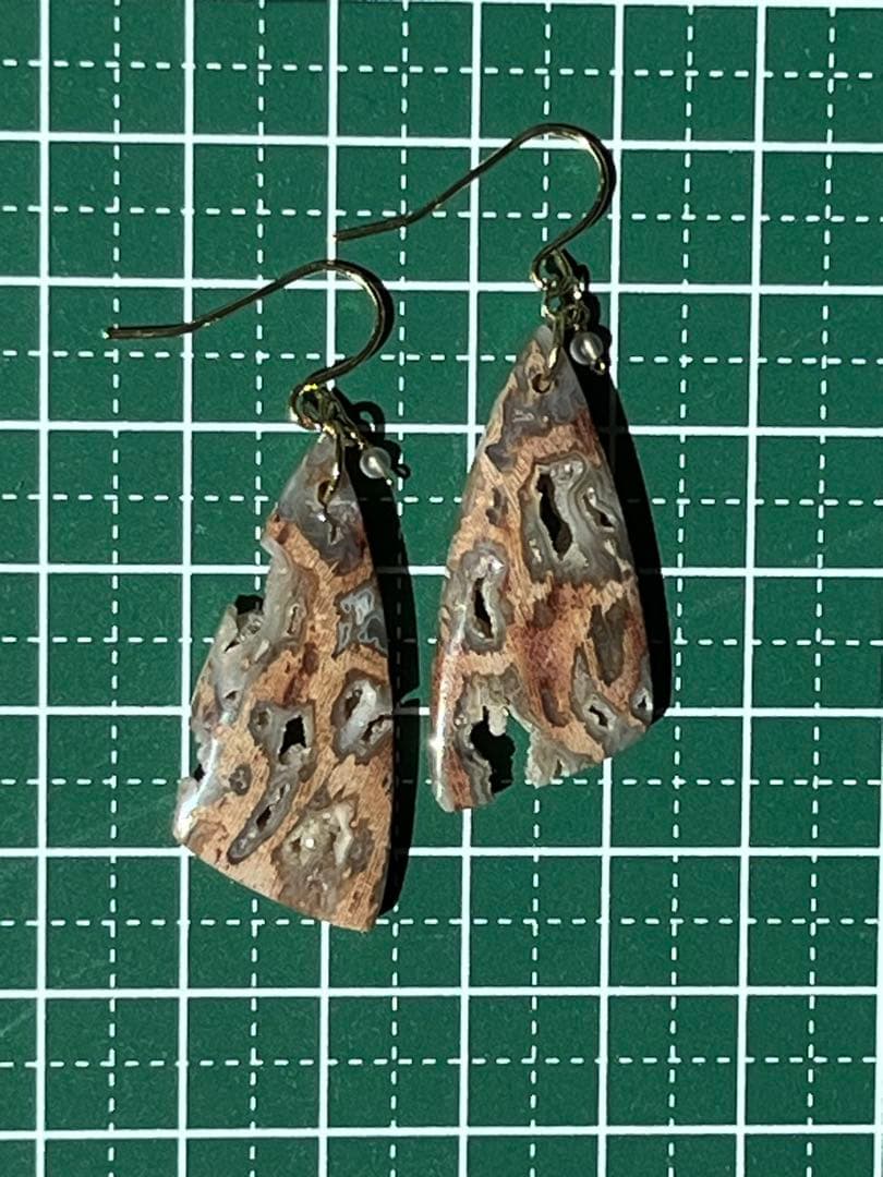 ＊14kgf フォッシルパームウッドwithドゥルージーポケット ピアス