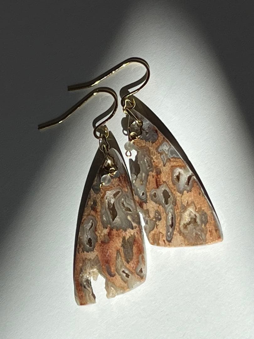 ＊14kgf フォッシルパームウッドwithドゥルージーポケット ピアス