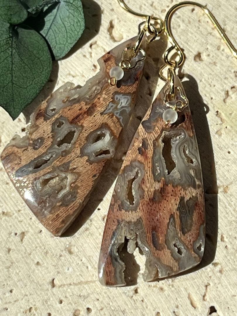 ＊14kgf フォッシルパームウッドwithドゥルージーポケット ピアス