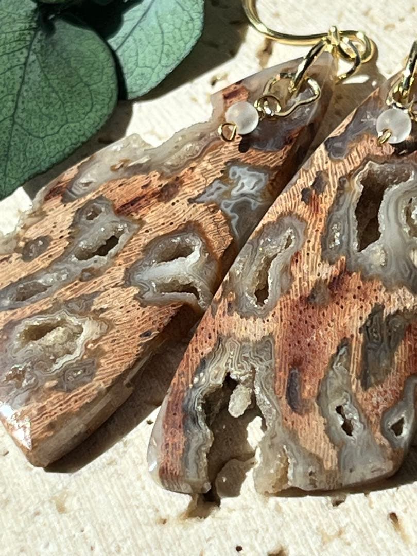 ＊14kgf フォッシルパームウッドwithドゥルージーポケット ピアス