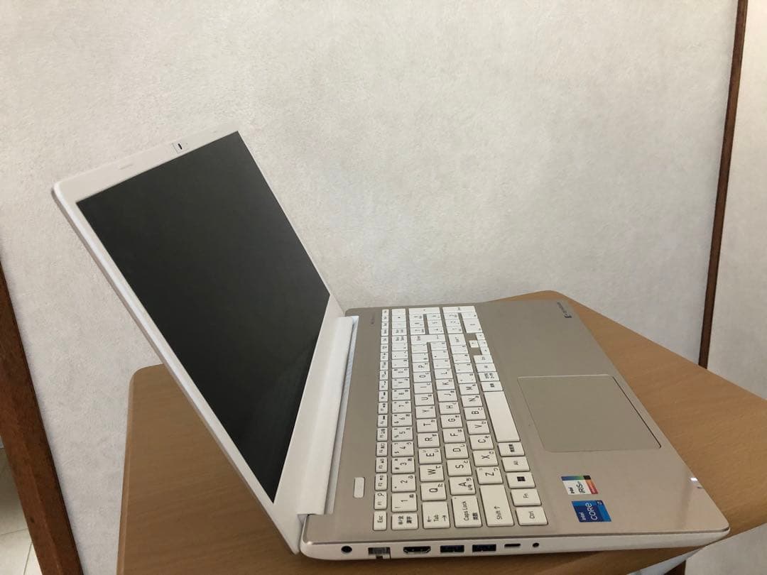 Windowsノート本体 dynabook P2-T6XB-EG