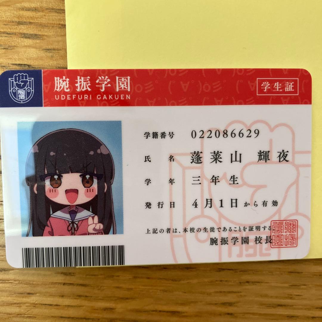蓬莱山輝夜　八意永琳グッズ セット