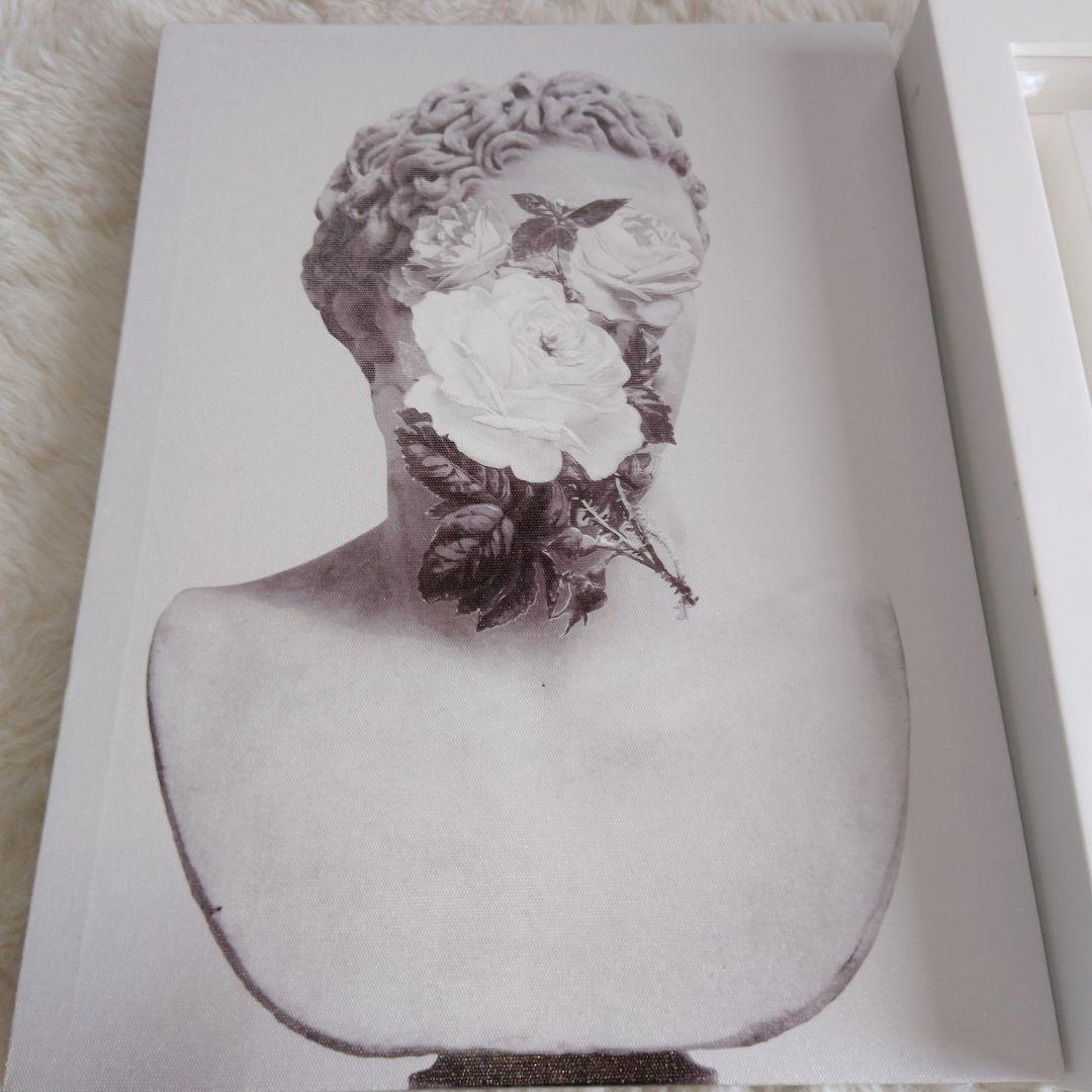 【美品】モノクロアート　タペストリー　セット　ひまわり　花　石膏像　額装