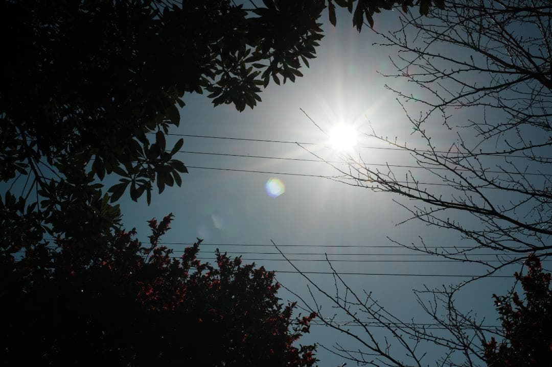 【整備＆テスト済】Nikon Ai-s Nikkor 50mm f1.8 801