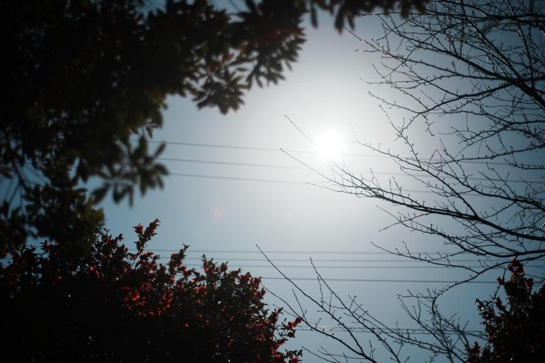 【整備＆テスト済】Nikon Ai-s Nikkor 50mm f1.8 801