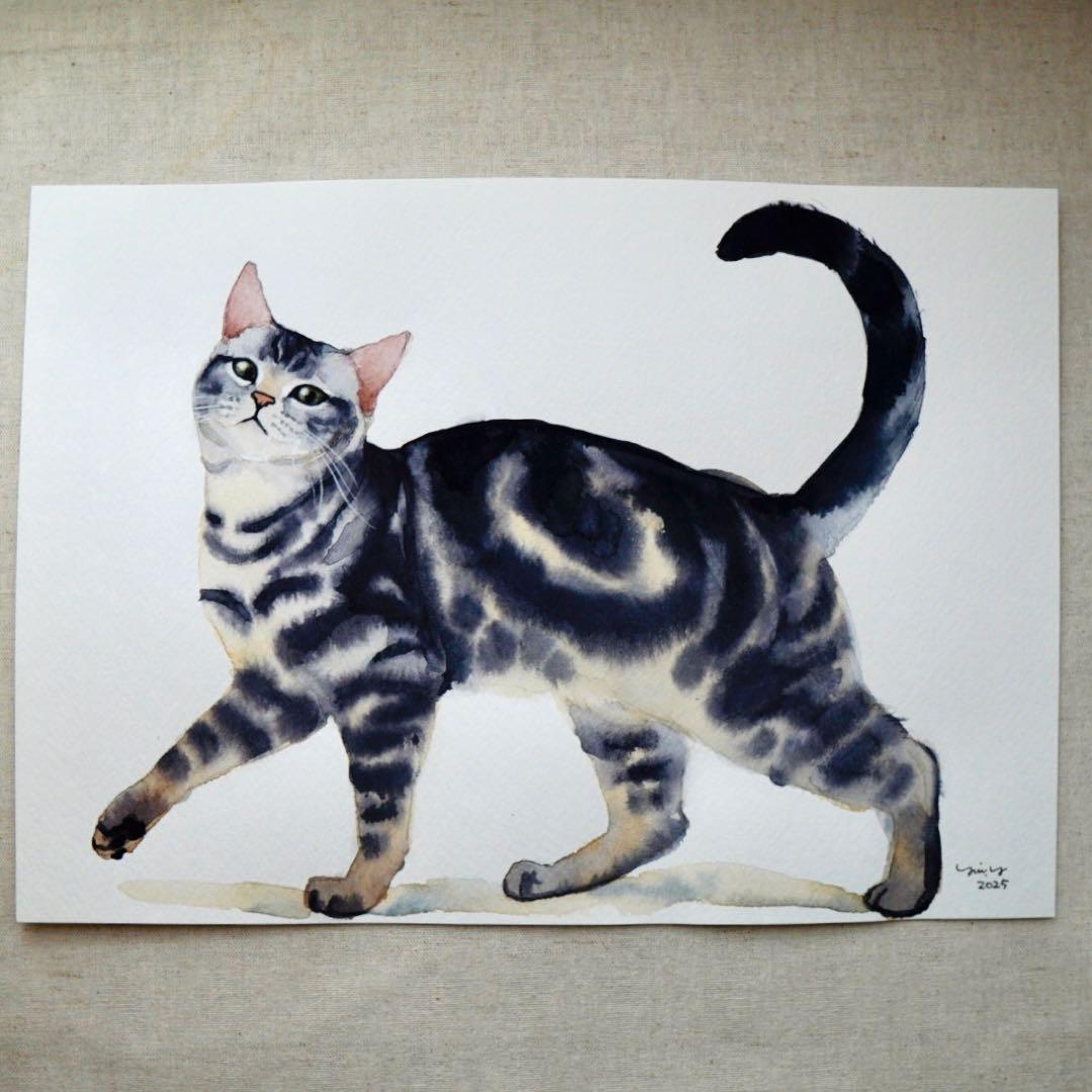 ∞たぁ〜やん∞ページ