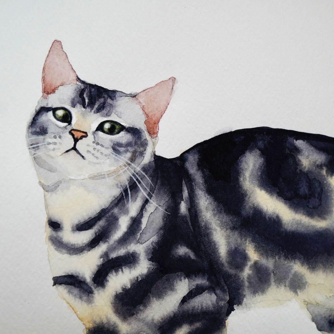 ∞たぁ〜やん∞ページ