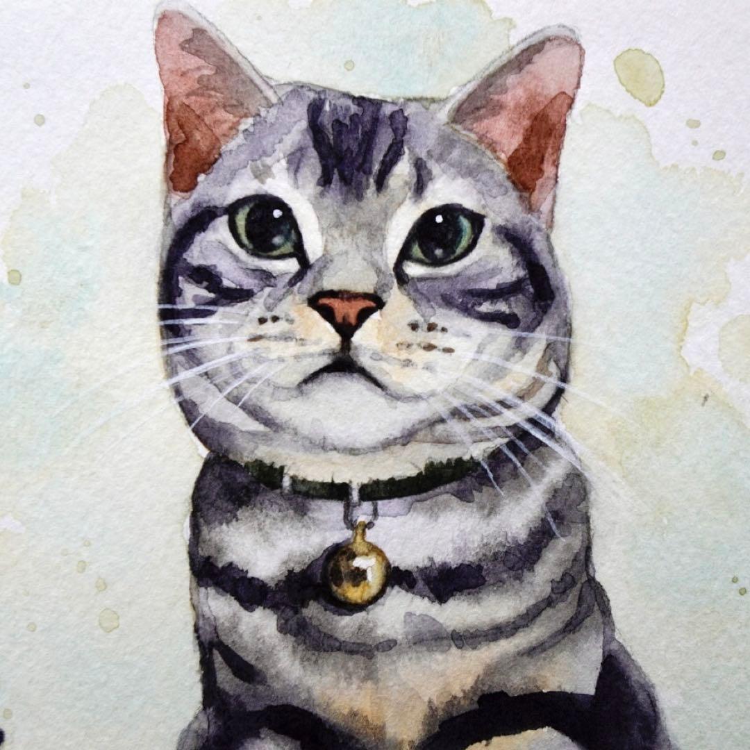 ∞たぁ〜やん∞ページ