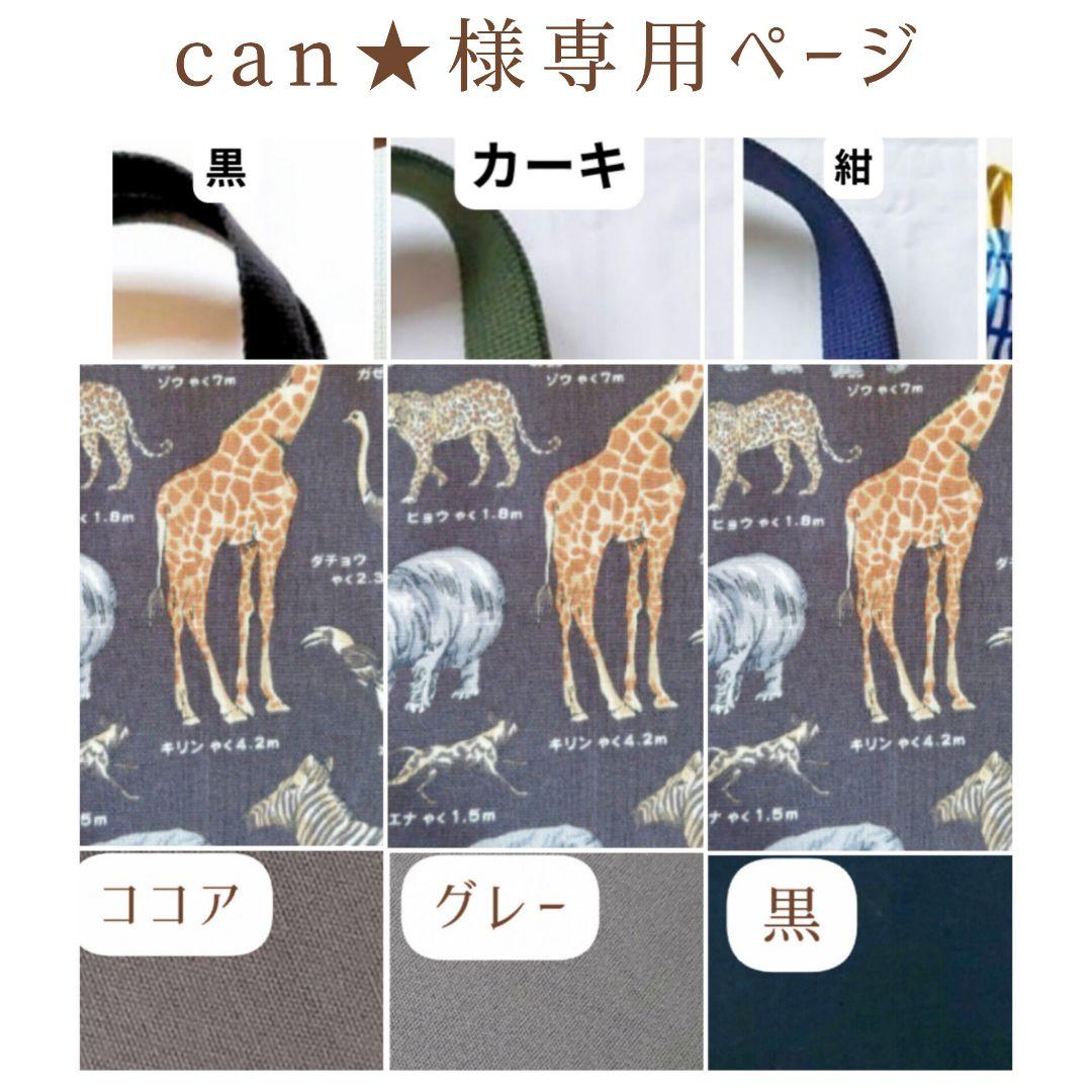 入園 入学 ハンドメイド レッスンバッグ 靴袋 ランチョンマット 動物 男の子