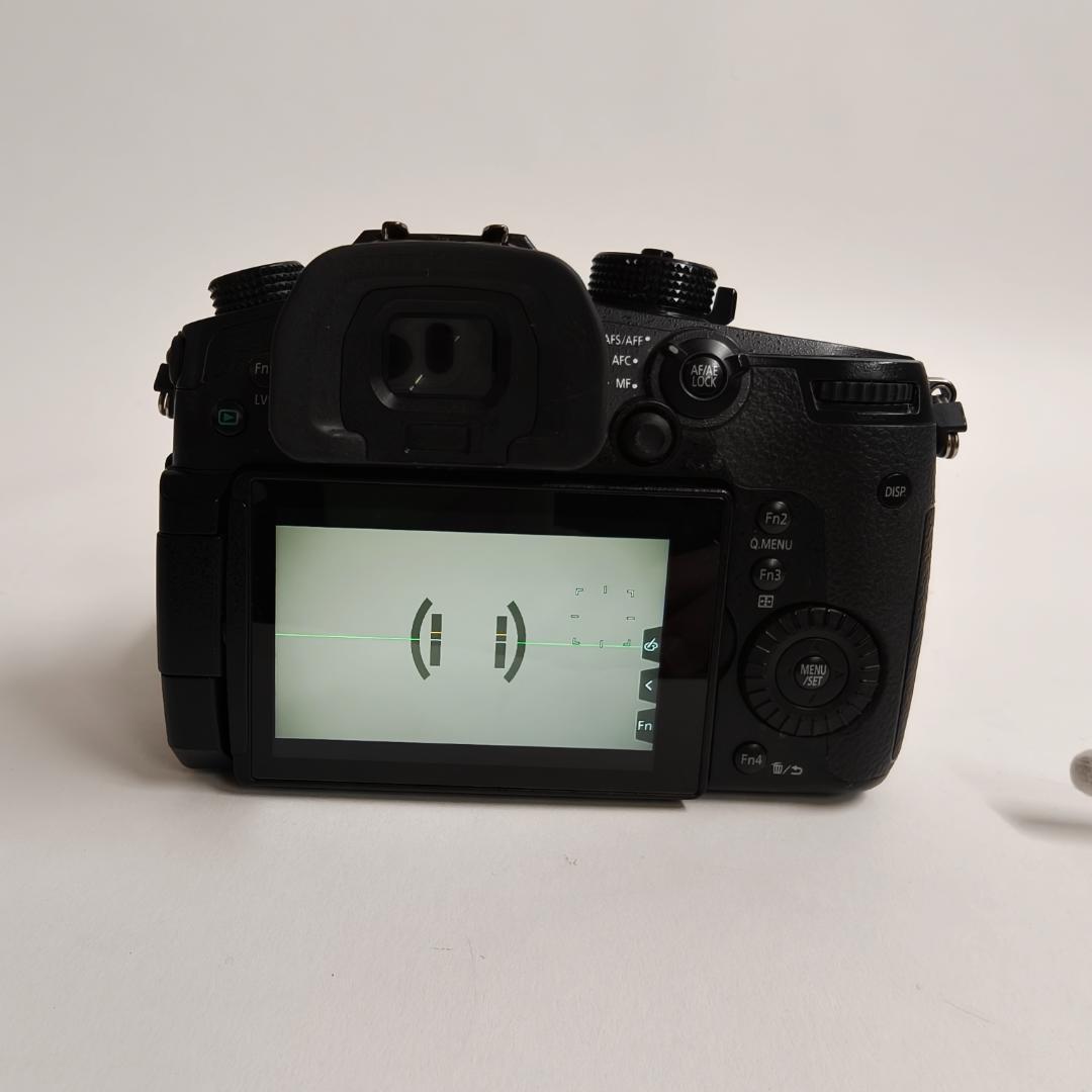 Panasonic LUMIX DC-GH5 ボディ