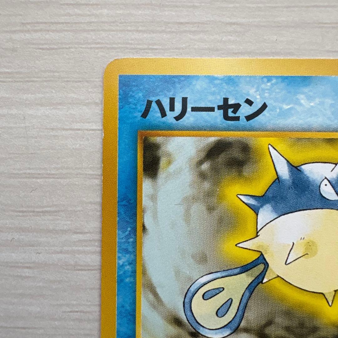 イントロパック　水タイプまとめ売り　ハリーセン　ワニノコ　マリル　旧裏