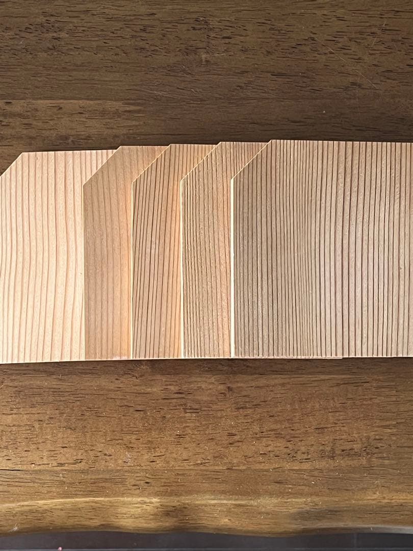 松花堂弁当　切箔松葉　新品　未使用　5客　箱入り