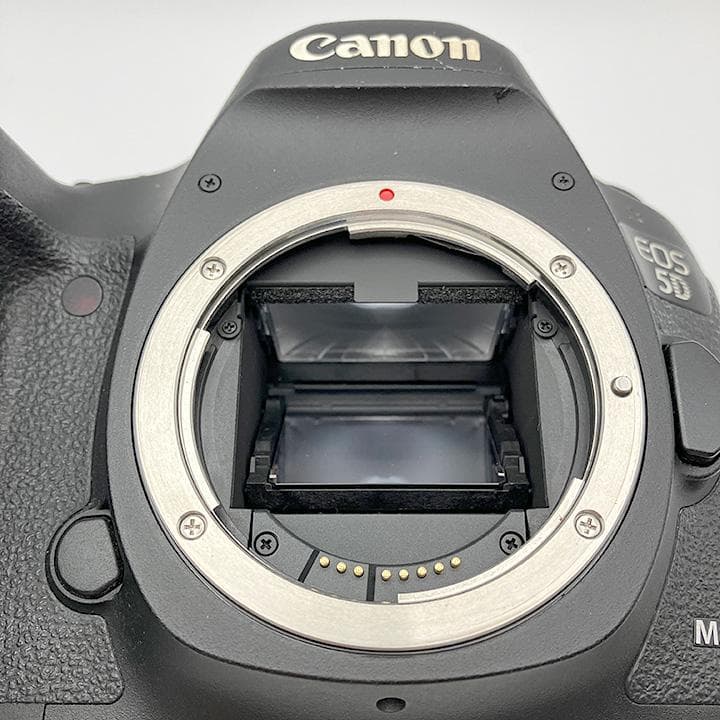【箱・付属品完備】Canon EOS 5D Mark III レンズセット