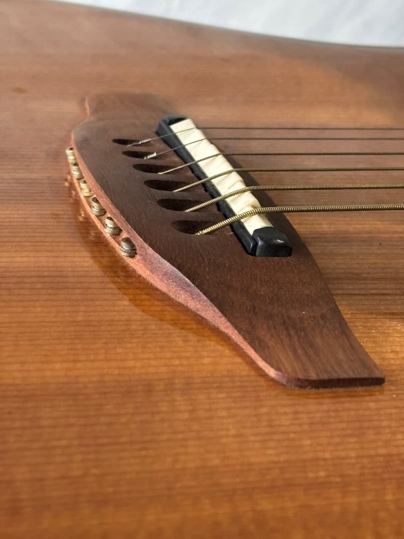 オベーション エレアコ