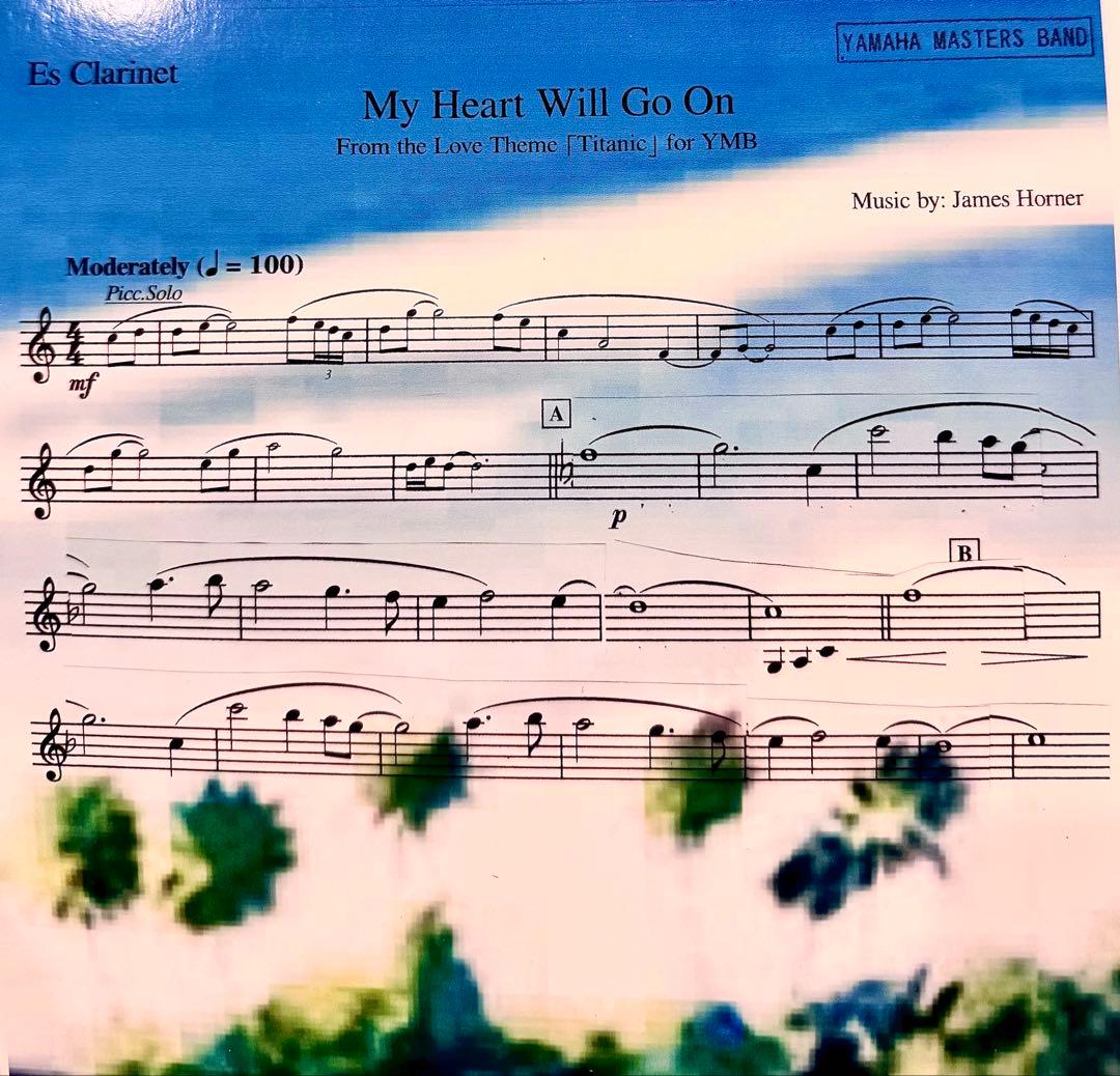 Ｐ 写真20枚1セット A4サイズの写真用光沢紙にてコピーします。