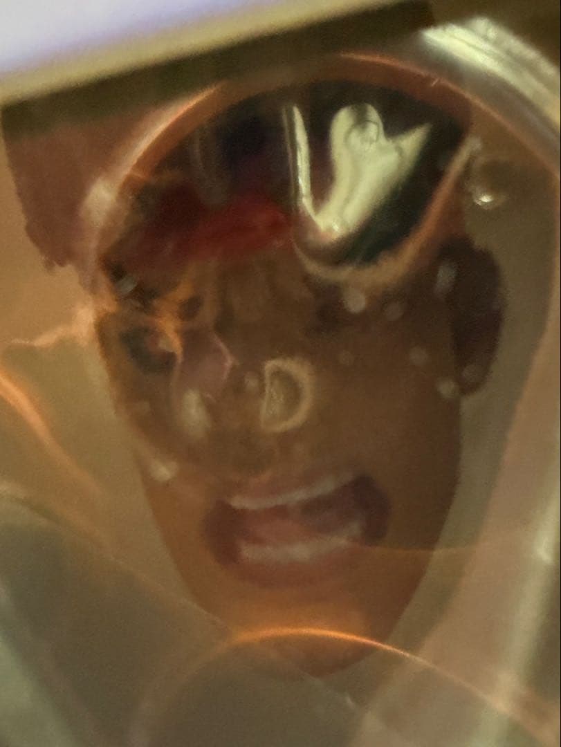 【新品未使用】ストリートファイターII エビルリュウ 殺意リュウ フィギュア