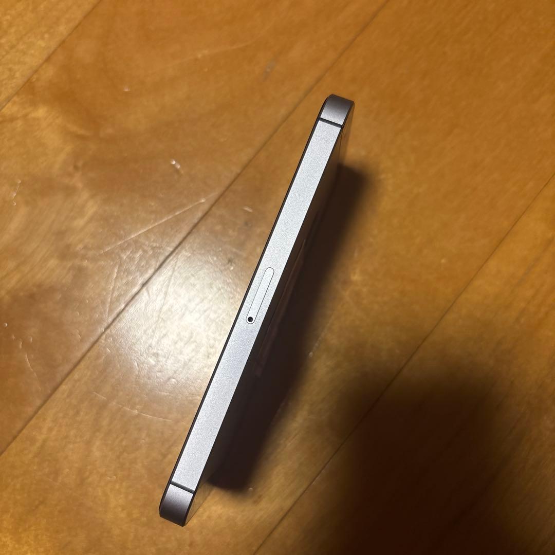 iPhone SE 第1世代 128GB スペースグレイ 最大容量93%