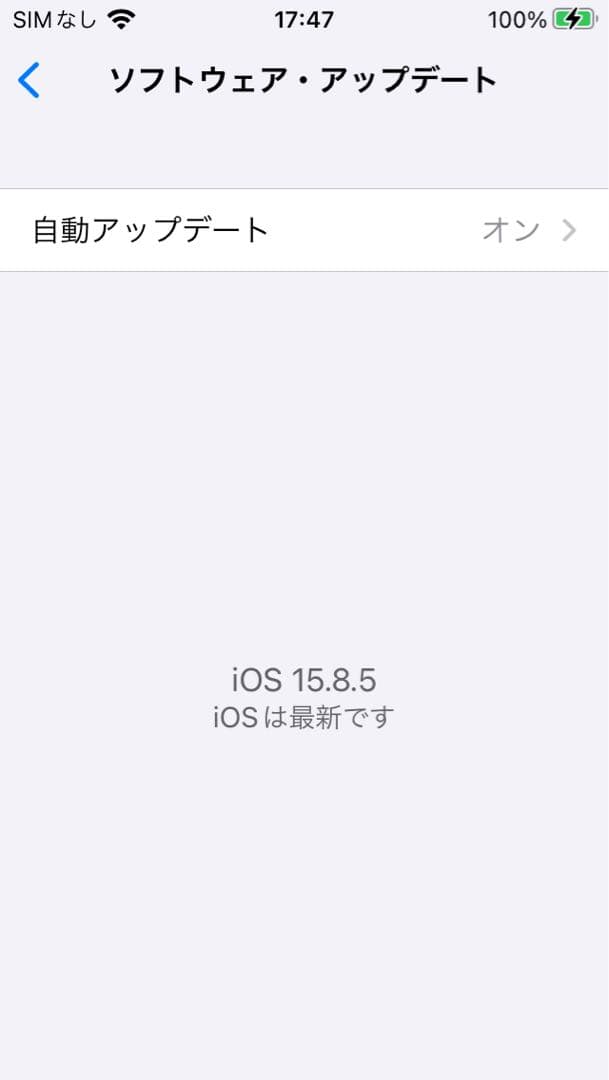 iPhone SE 第1世代 128GB スペースグレイ 最大容量93%