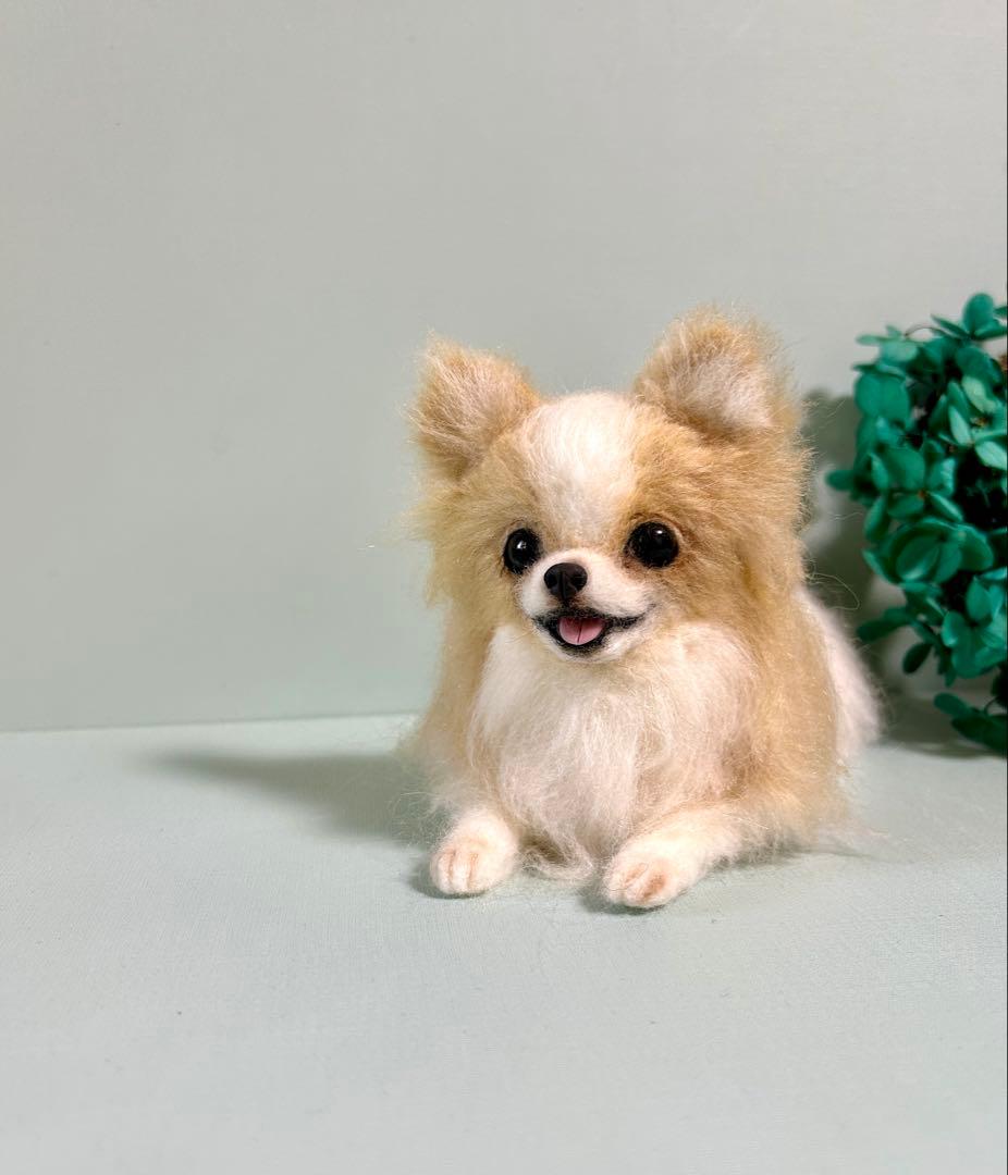 羊毛フェルト　伏せをするチワワ