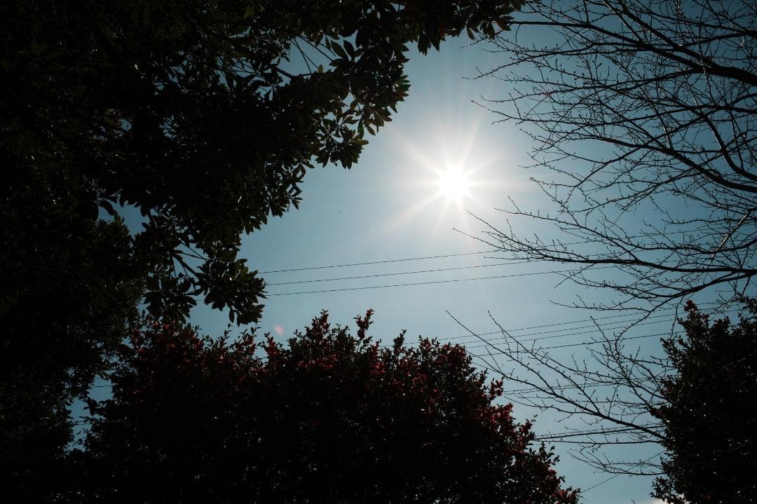 【整備＆テスト済】SMC PENTAX-M 28mm F3.5 365