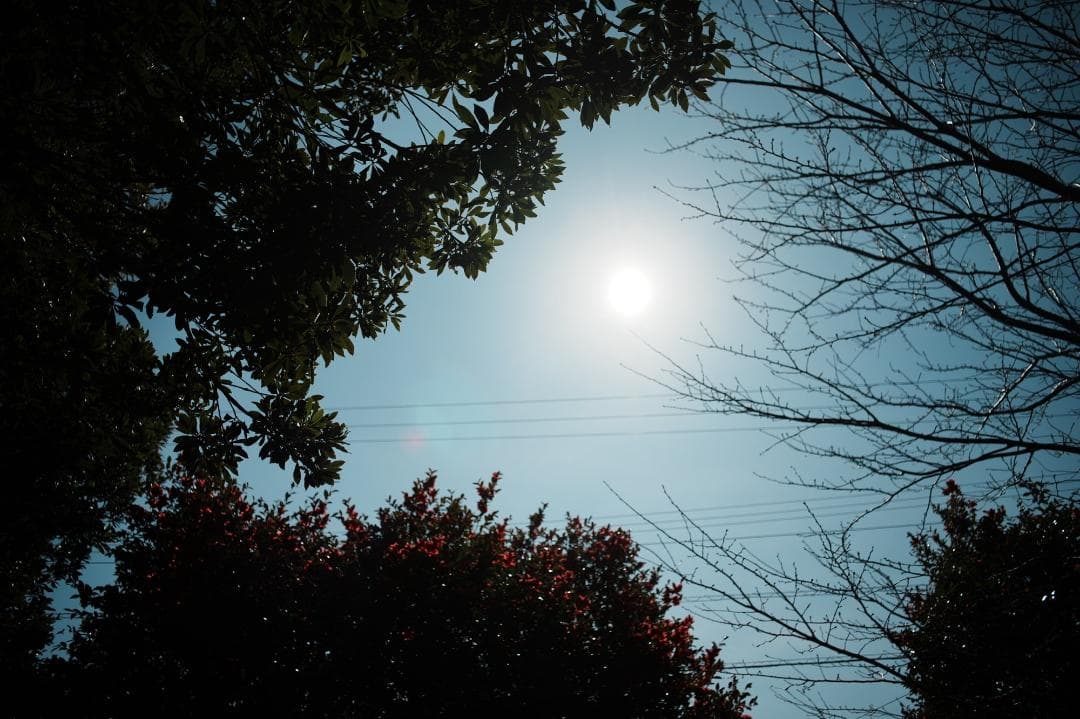 【整備＆テスト済】SMC PENTAX-M 28mm F3.5 365