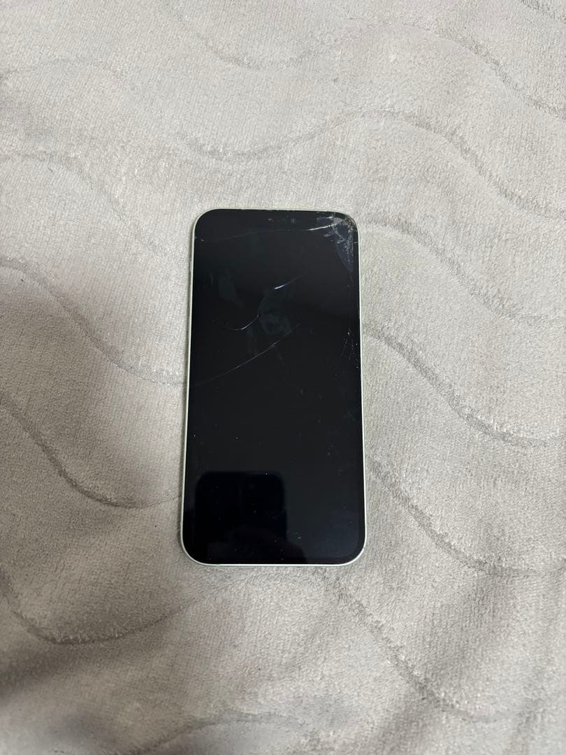 水没　iPhone12 本体　バキバキ　動作不可