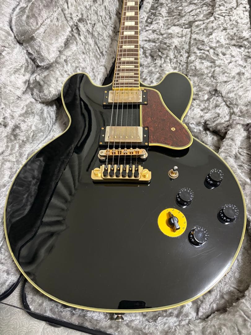 希少品　Epiphone B.B. King Lucille