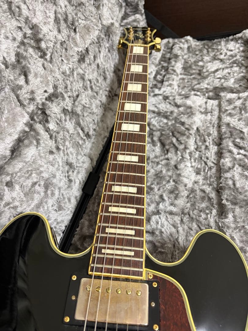 希少品　Epiphone B.B. King Lucille