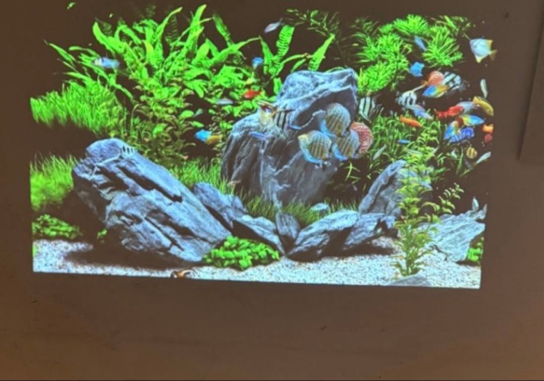 カベーニ　モバイルプロジェクター ブラック