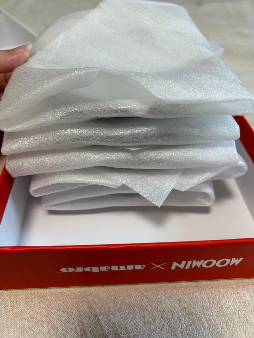 ムーミン 小皿 5枚セット アマブロ　九谷焼