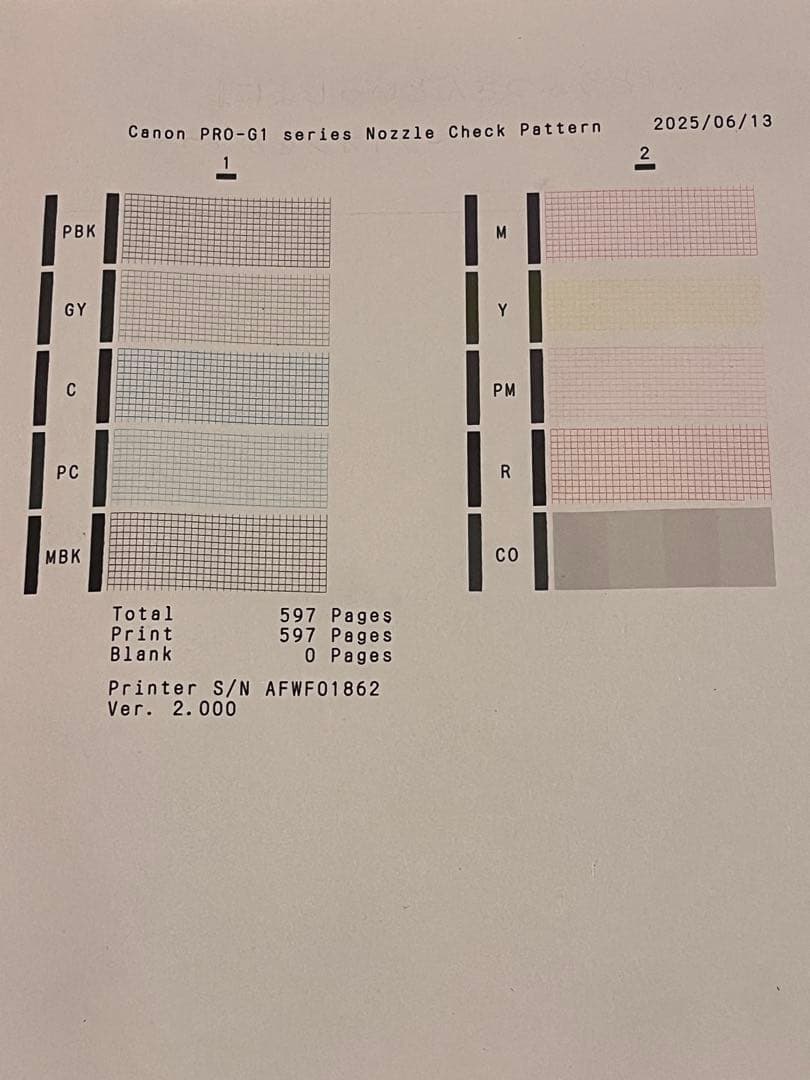 Canon プリンター　PRO-G1 インクおまけ付き