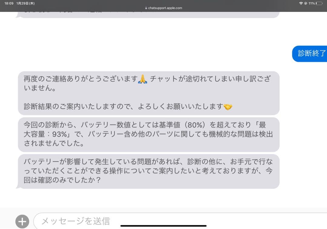 【美品】iPad Pro 11インチ 第1世代 256GB Wi-Fiモデル