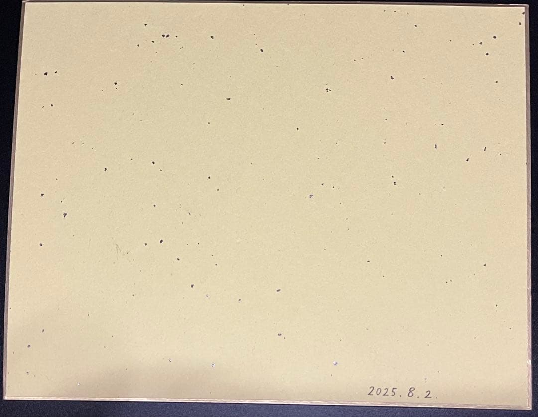 オリジナル 手描きイラスト 色紙 アナログ原画