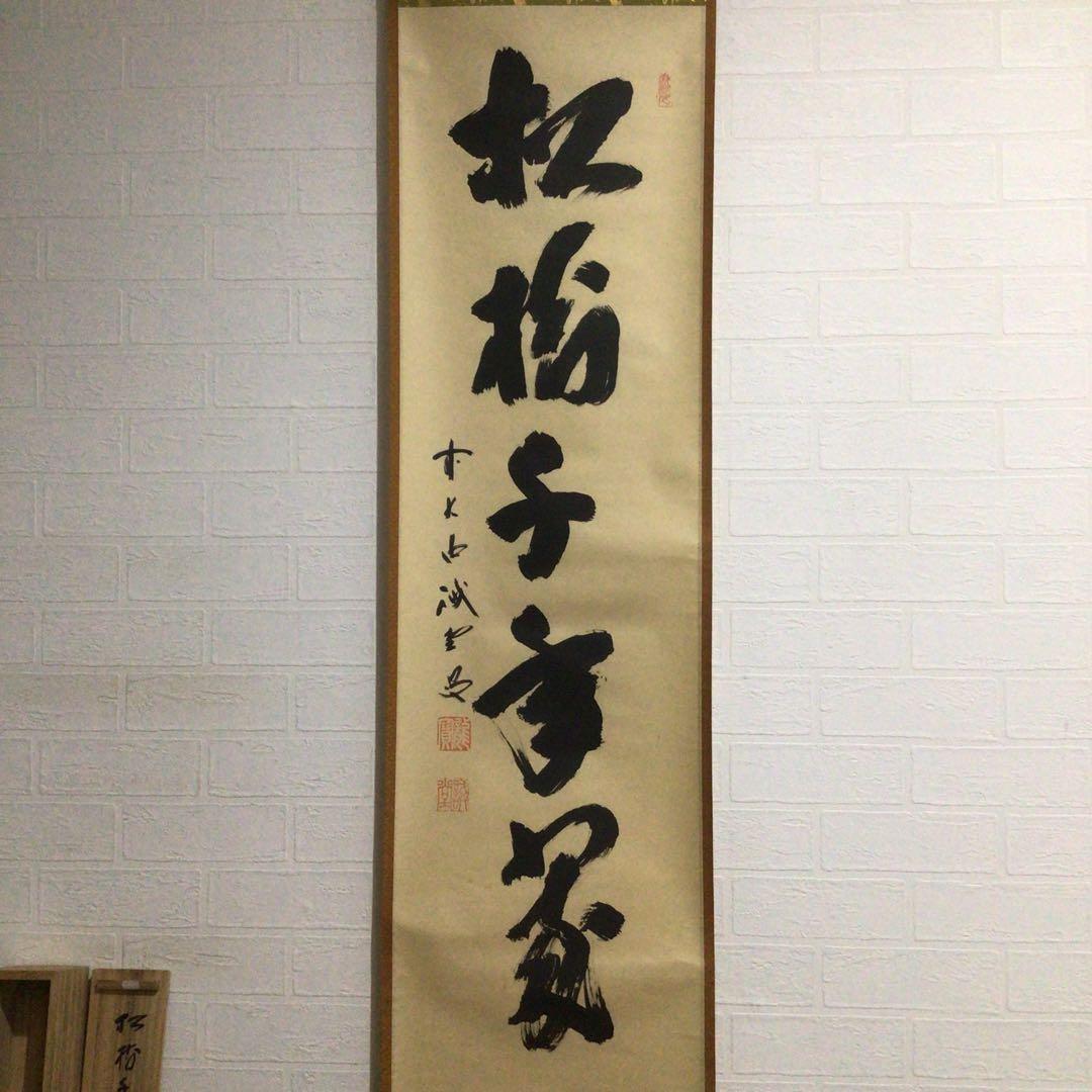 Ｍ８０１　掛軸　大徳寺　藤井誡堂　『松樹千年翠』　共箱　『真作』　肉筆　一行書