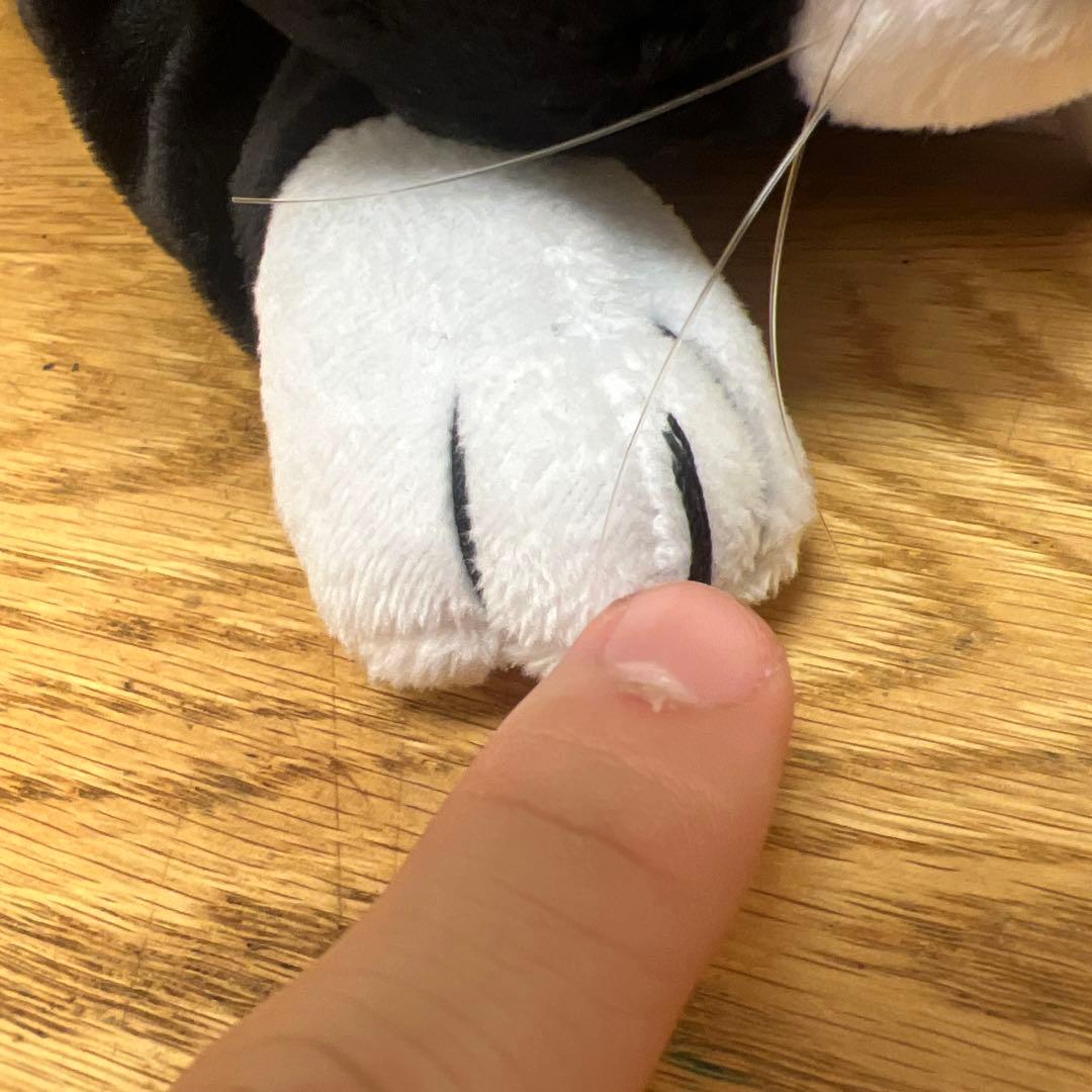 ペルソナ25周年　モルガナ　猫ver　ぬいぐるみ