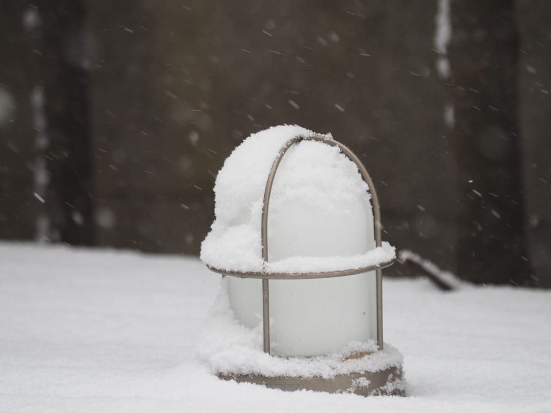 Olympus Zuiko Digital 50-200/2.8-3.5フード付